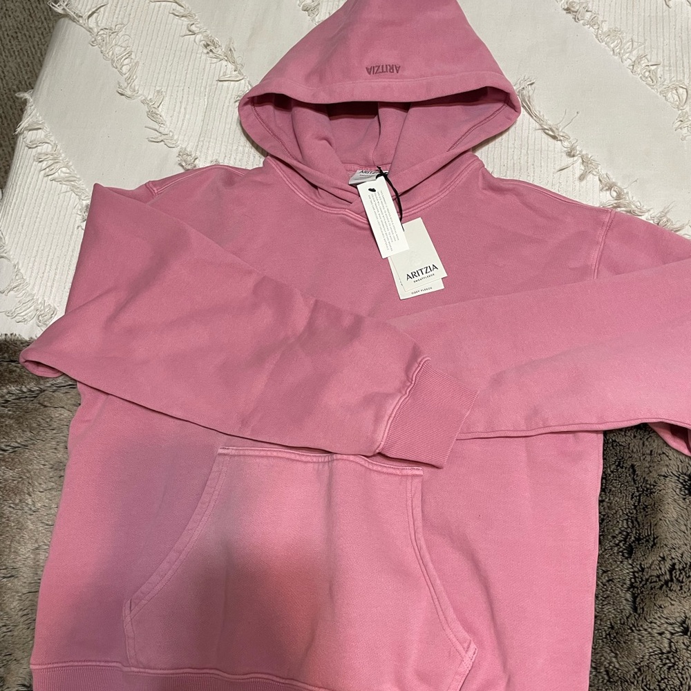 Aritzia Perfect Fit Hoodie